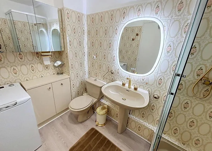 Apartment Au Centre De Avec Garage Privatif Et Wi-fi Gratuite - Fr-1-361-510