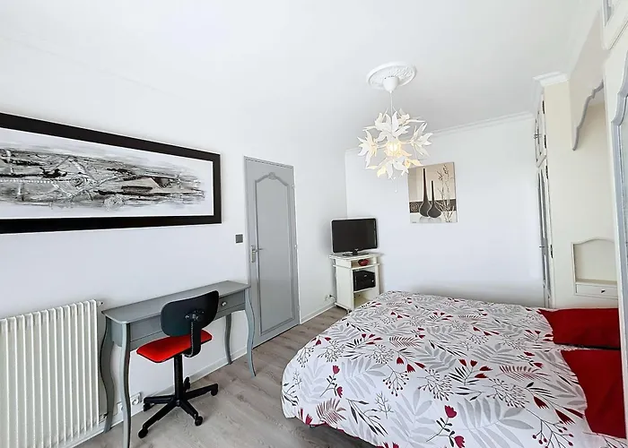 Apartment Au Centre De Avec Garage Privatif Et Wi-fi Gratuite - Fr-1-361-510 *